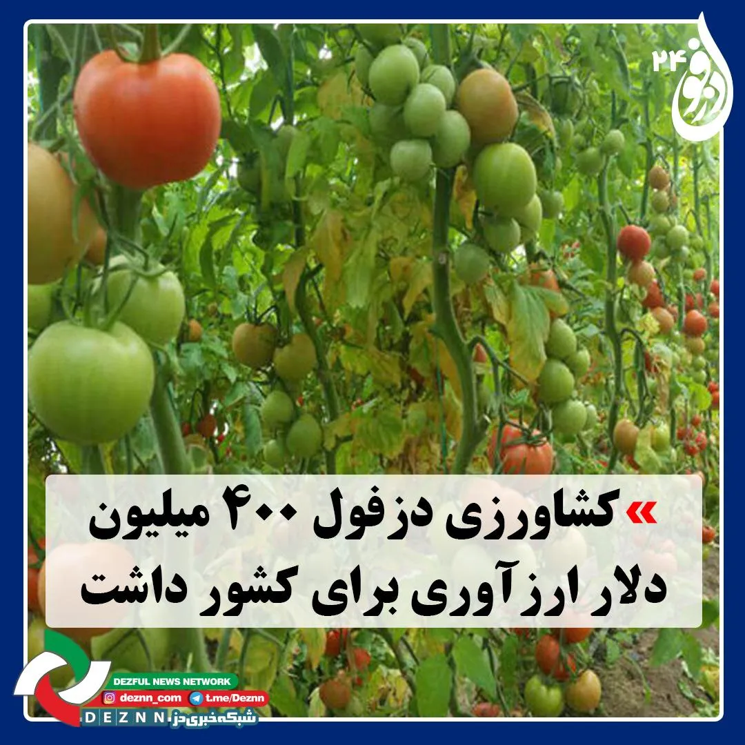 کشاورزی دزفول ۴۰۰ میلیون دلار ارزآوری برای کشور داشت